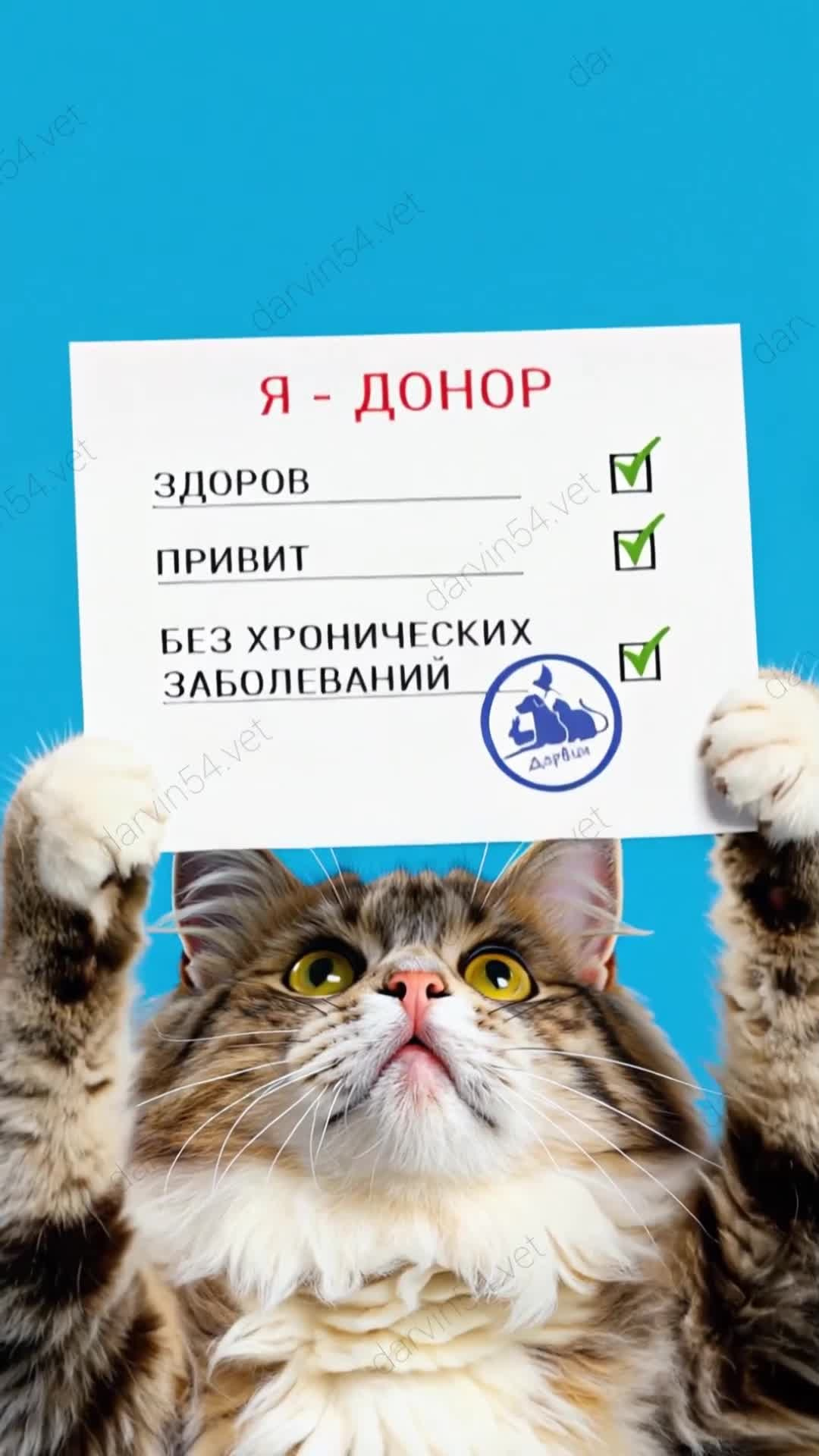 Рекламные стоп моушен ролики