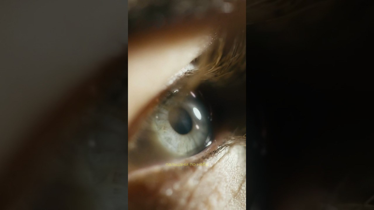 Музыкальные клипы. Киностудия Lozinsky Films — The Point Is View