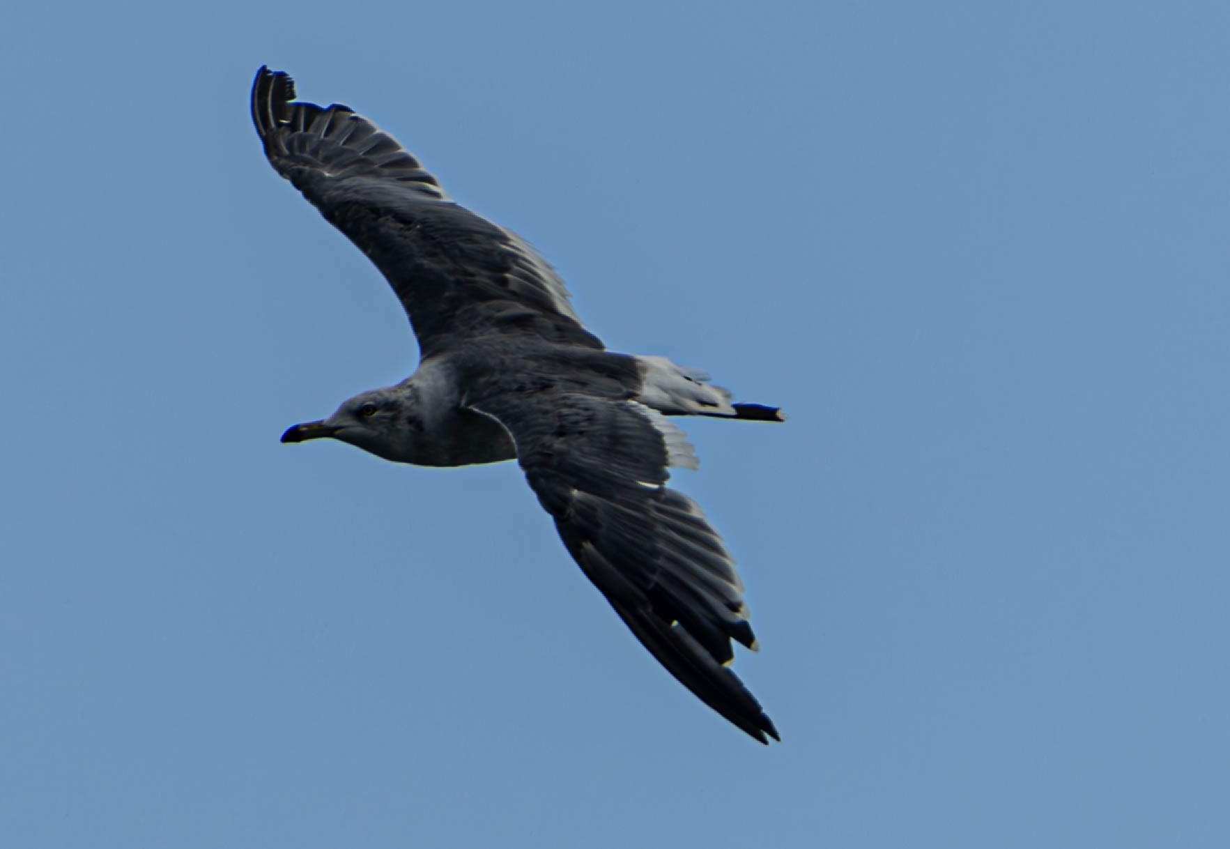 АЛЕКСЕЙ КОЛМАКОВ. Фотограф. Москва и Московская область