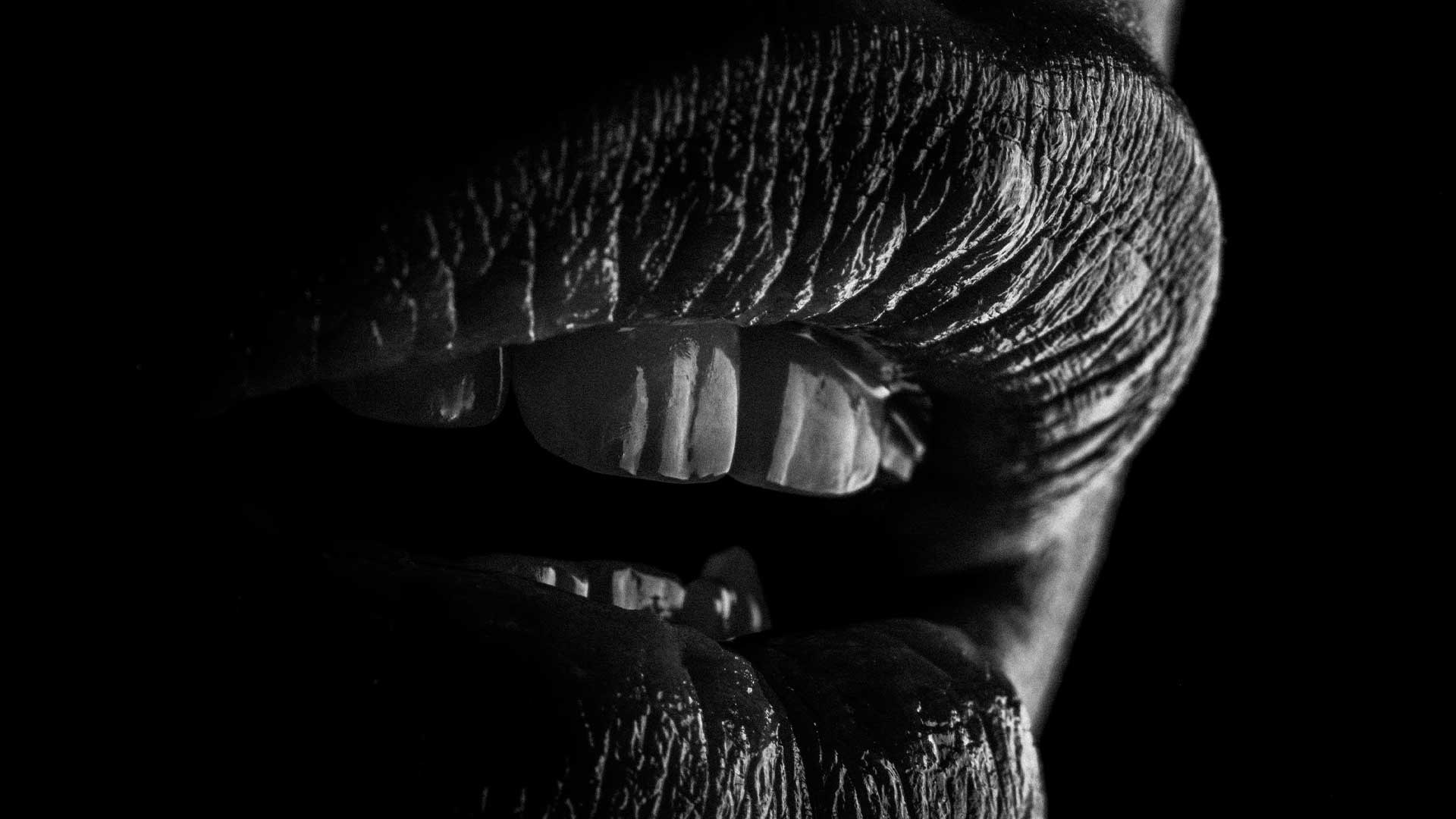 Онлайн-курс Dental Photo PRO: теория, практика, применение