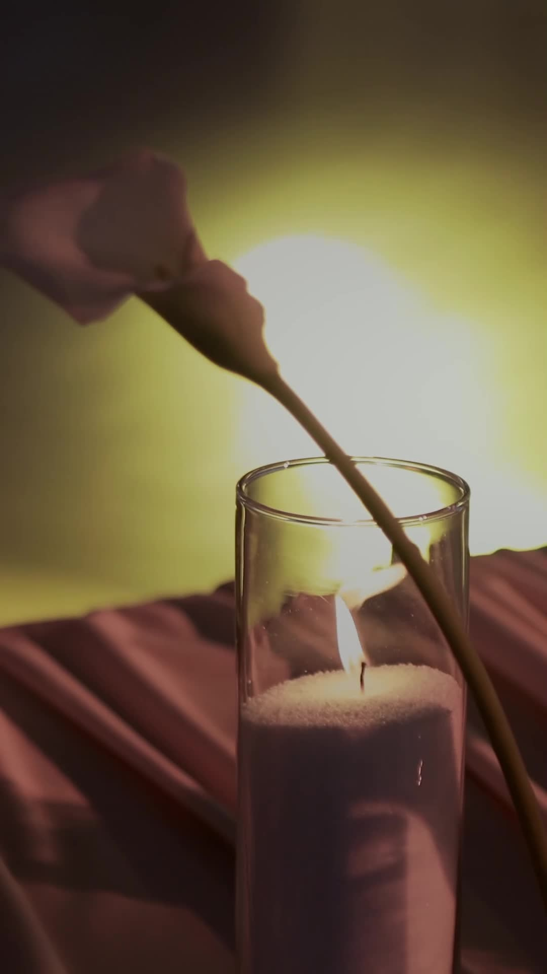 Свадебные reels (рилс) в Казани, Альметьевске. Артем Прокофьев Свадебный видеограф в Казани и Татарстане