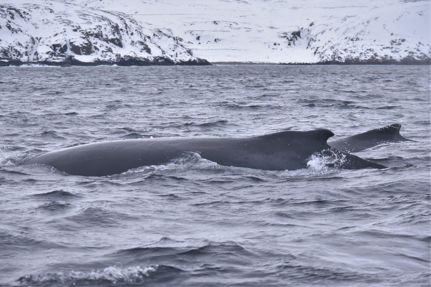 Мурманская Северное. Туры по России и миру