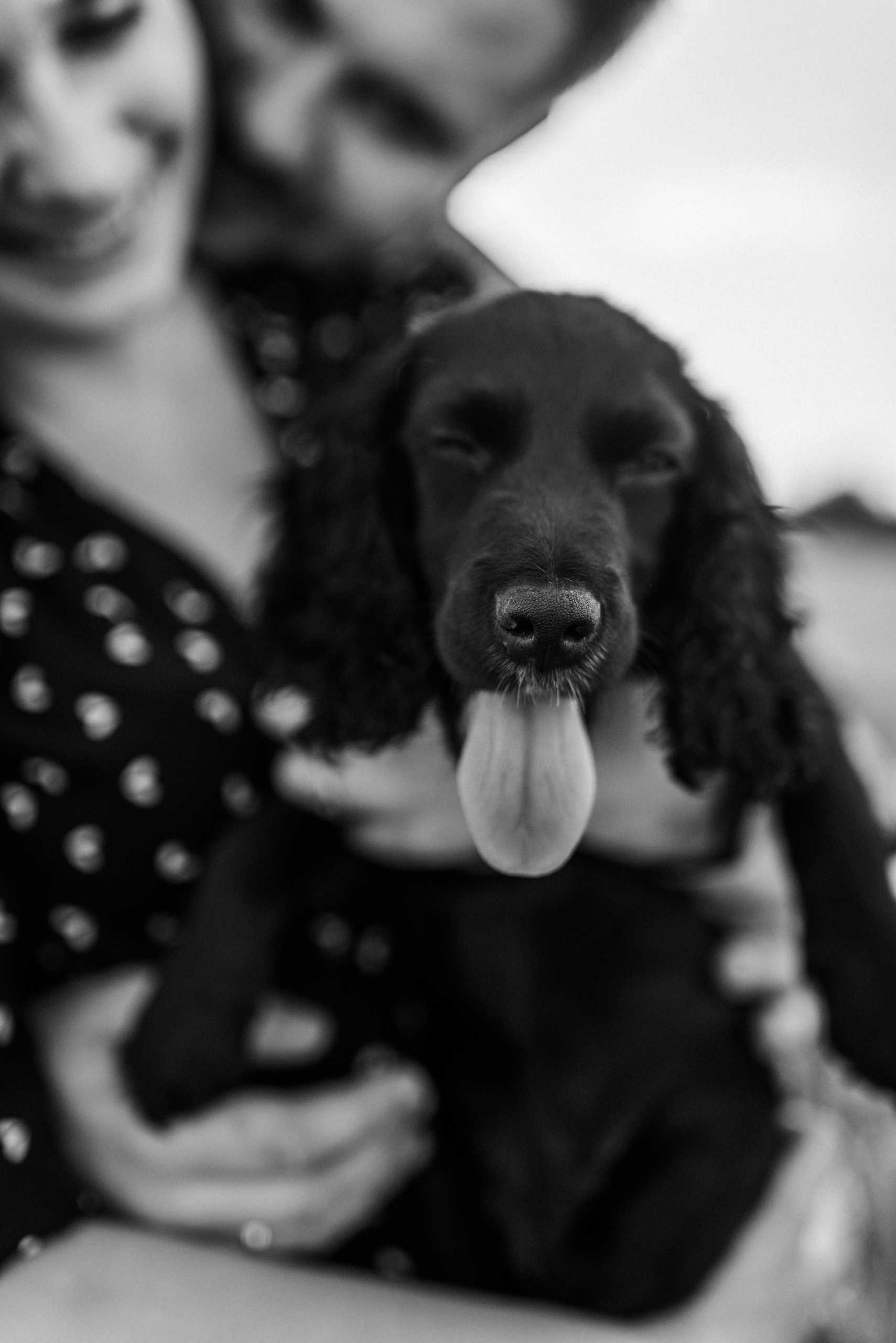 Марк+Катя+Милан. Костюшко Кристина — семейный и свадебный фотограф в Минске