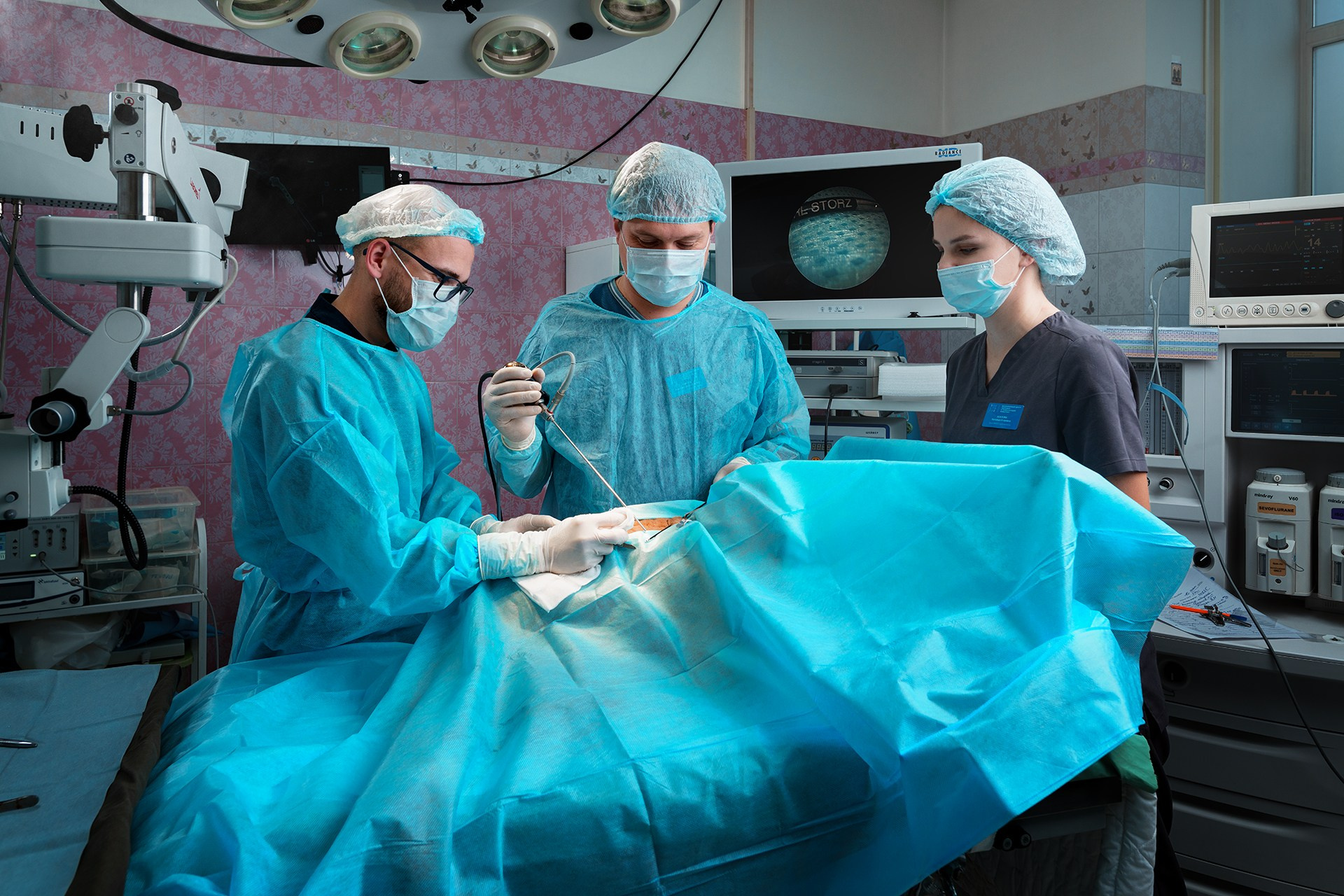 Зоостатус. Isakov Alexander official site