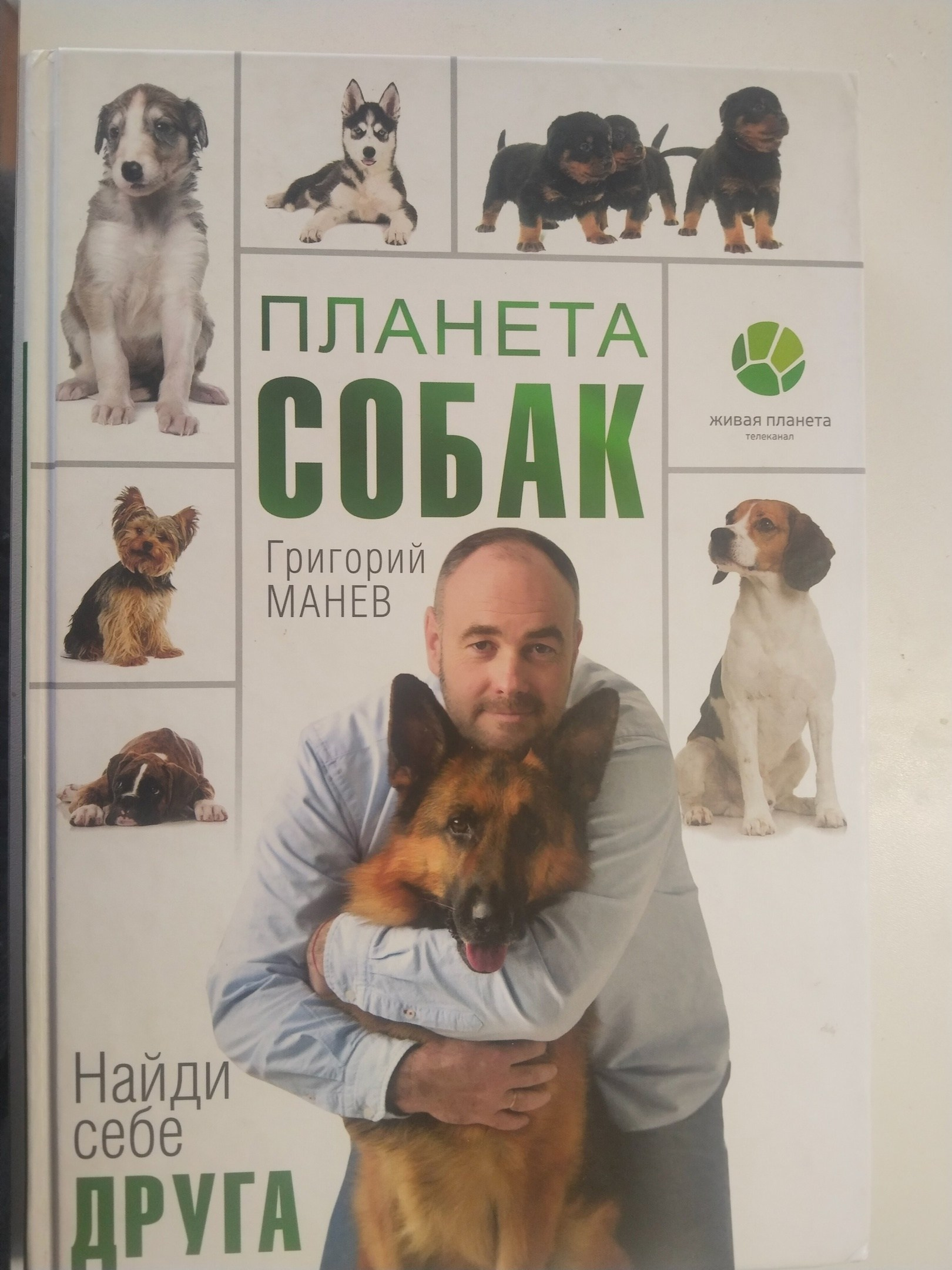 Семинар-практикум с Григорием Манёвым. НРОО КЦ "Собаковод"