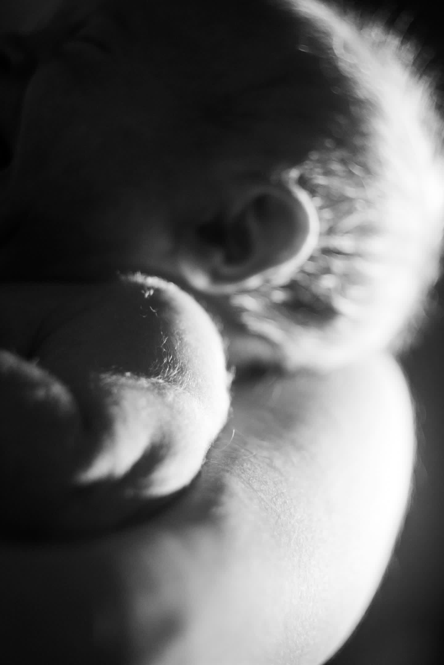 Практикум «Снимай без правил». Фотограф Анастасия Мукоид