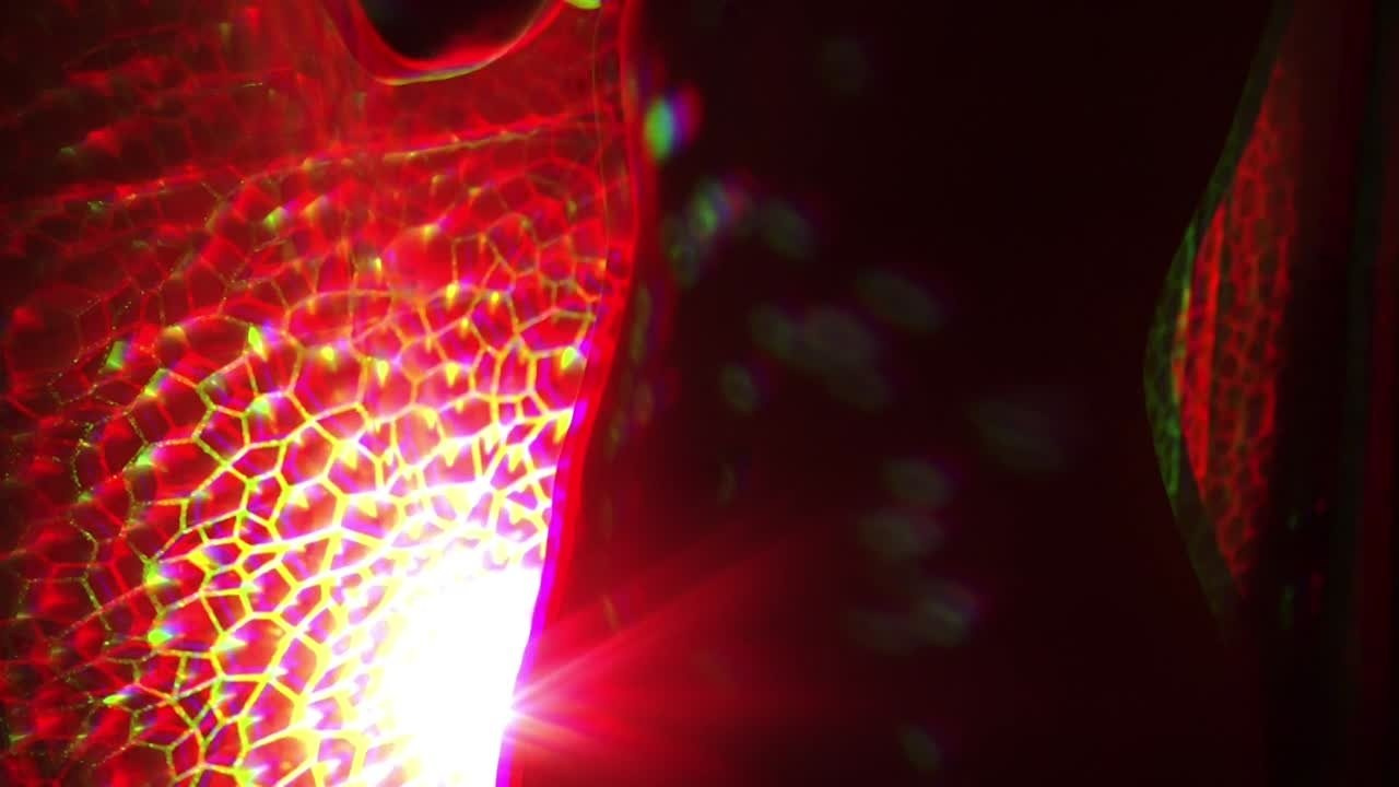 Главная — Фото