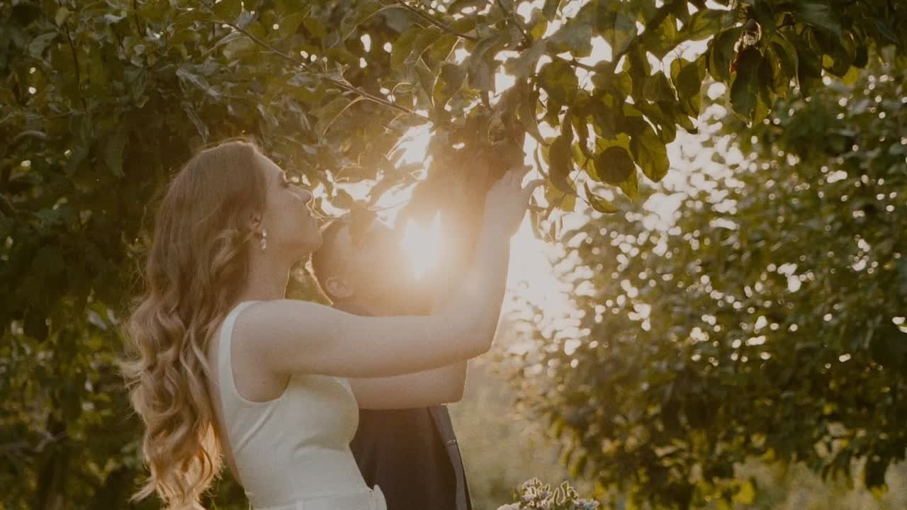 Видео. Свадебный фотограф и видеограф Дмитрий Горяченков