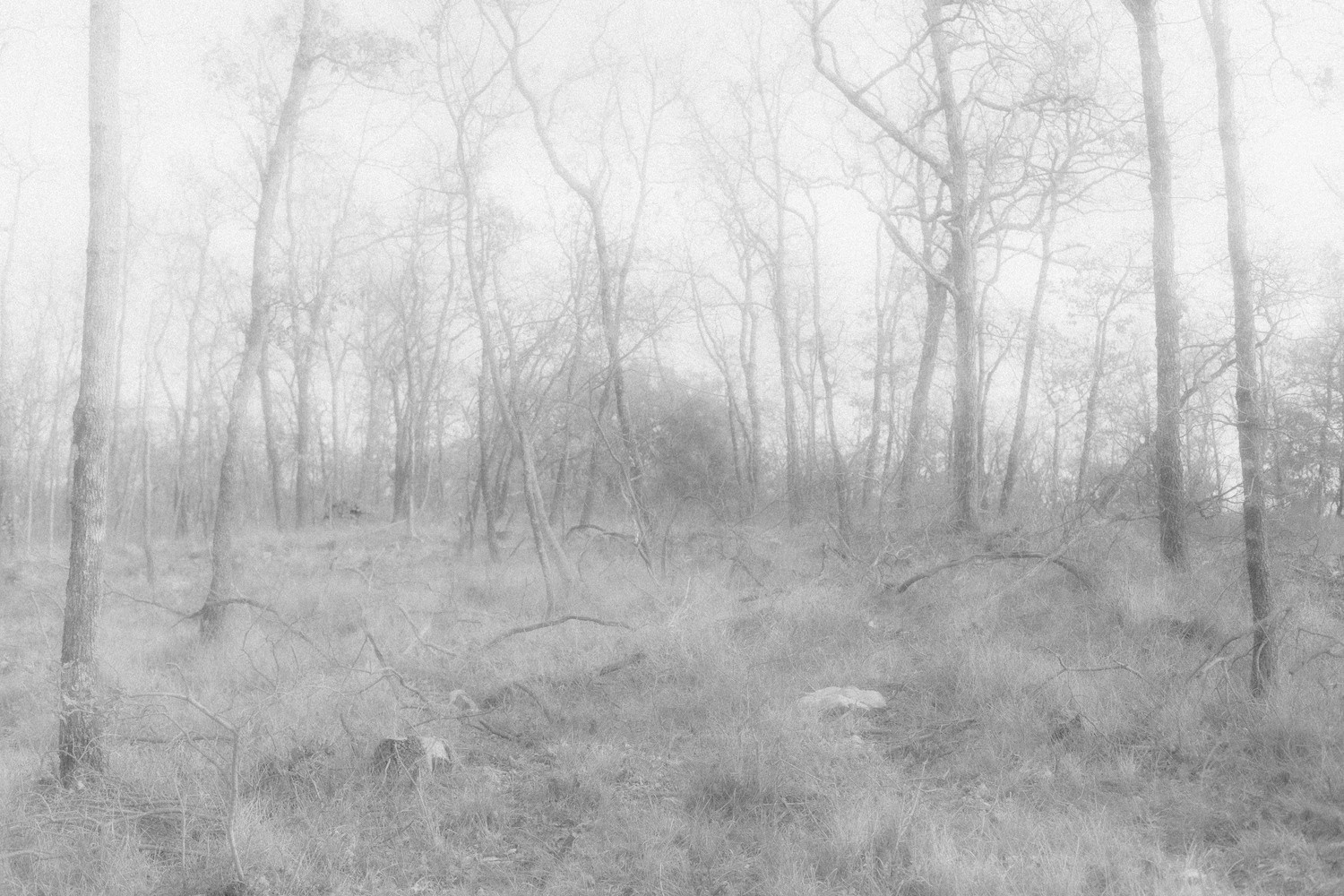 Ничего нового 20.05 — 20.07.2023