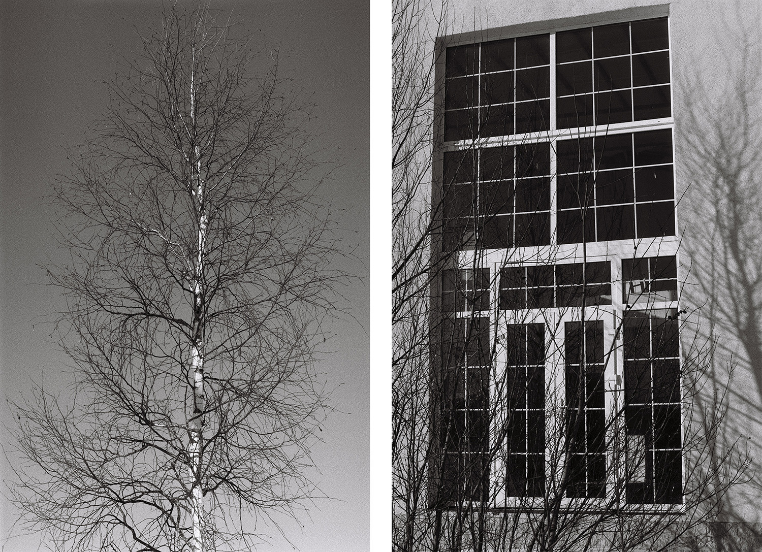 Ничего нового 20.05 — 20.07.2023