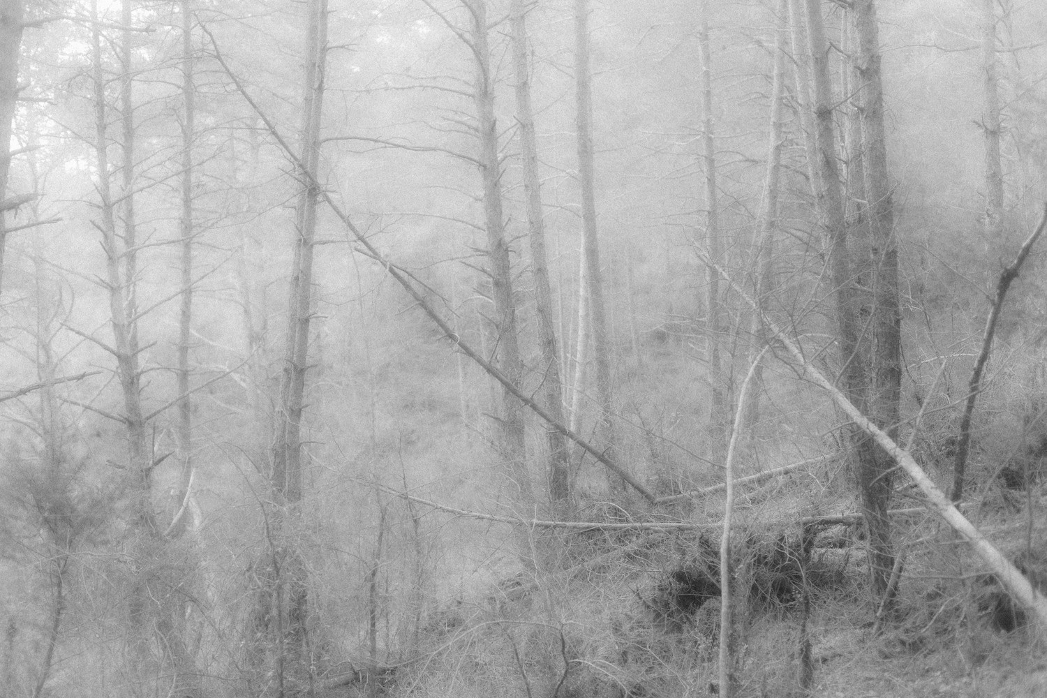 Ничего нового 20.05 — 20.07.2023