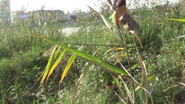 Обертоны. Artist Oleg Semenovykh