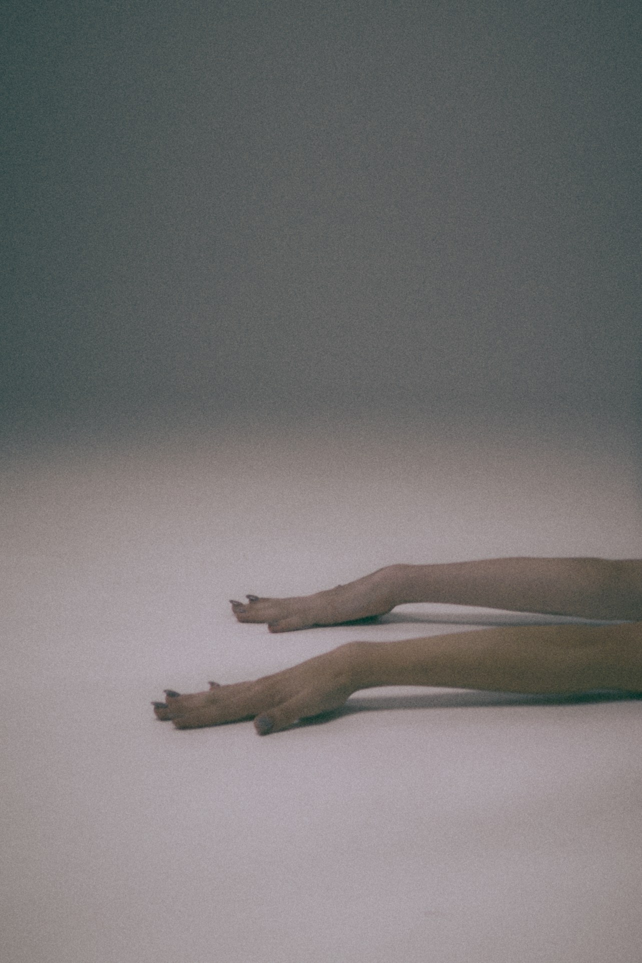 Виолетта Скрипка