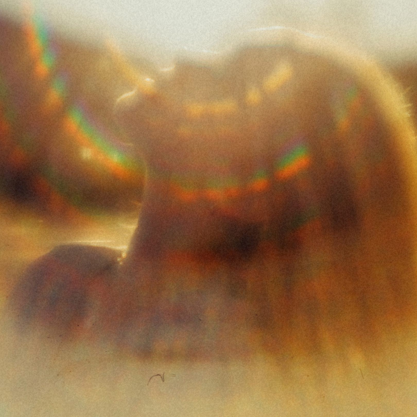 SOMETIMES SHE LOVES. Eduard Kopysov — International visual artist