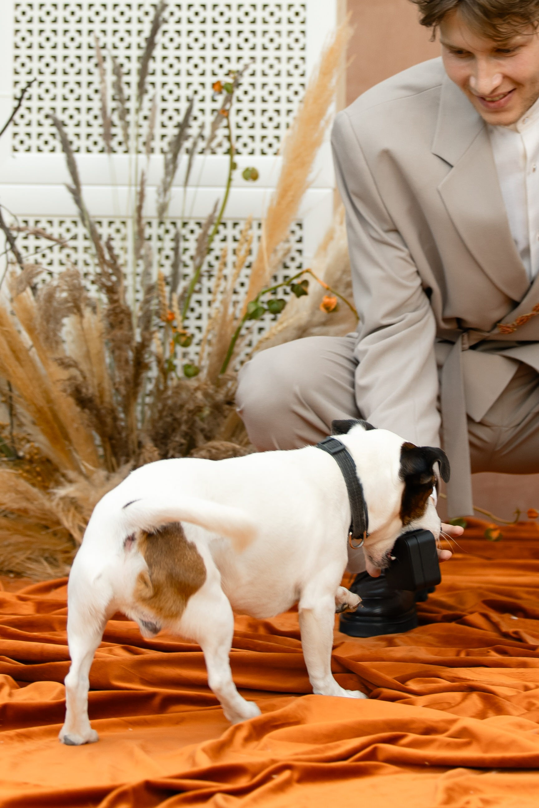 Софья & Виктор. Yura Rush Свадебный фотограф Тюмень