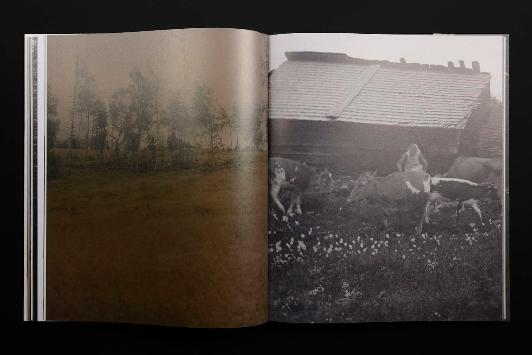 INTERVIEW WITH THE ARTIST: Maja Daniels. Самоорганизация Низина