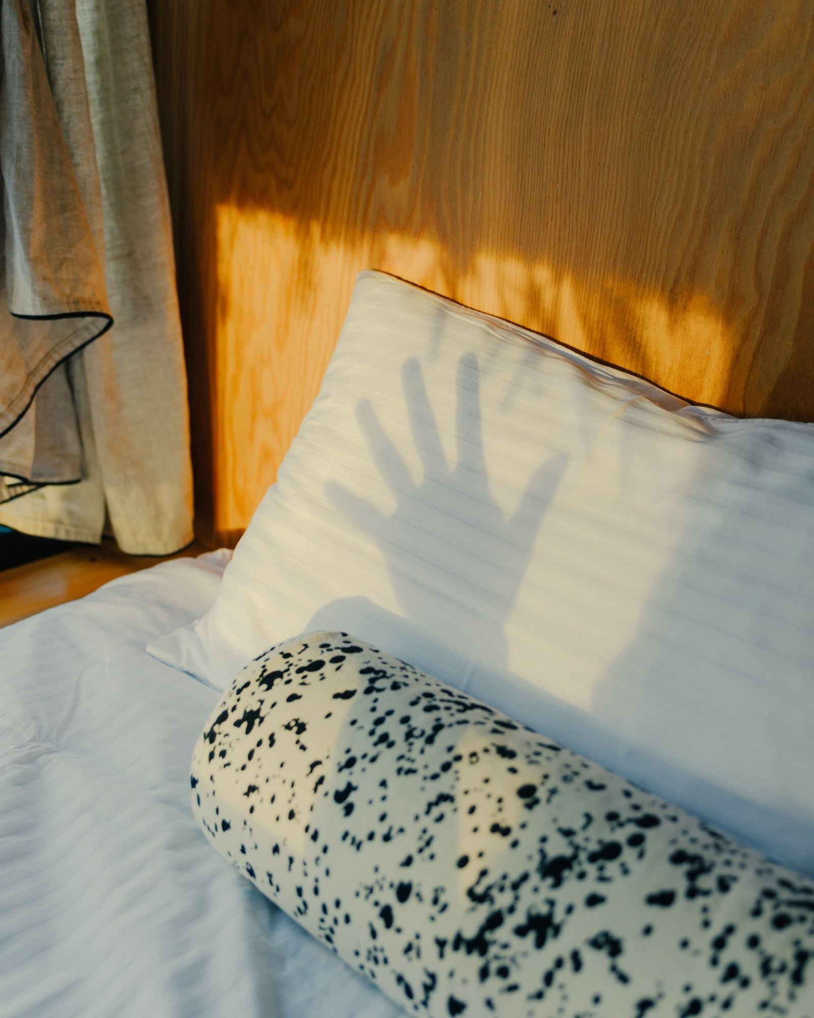 Фотограф Павел Краснов