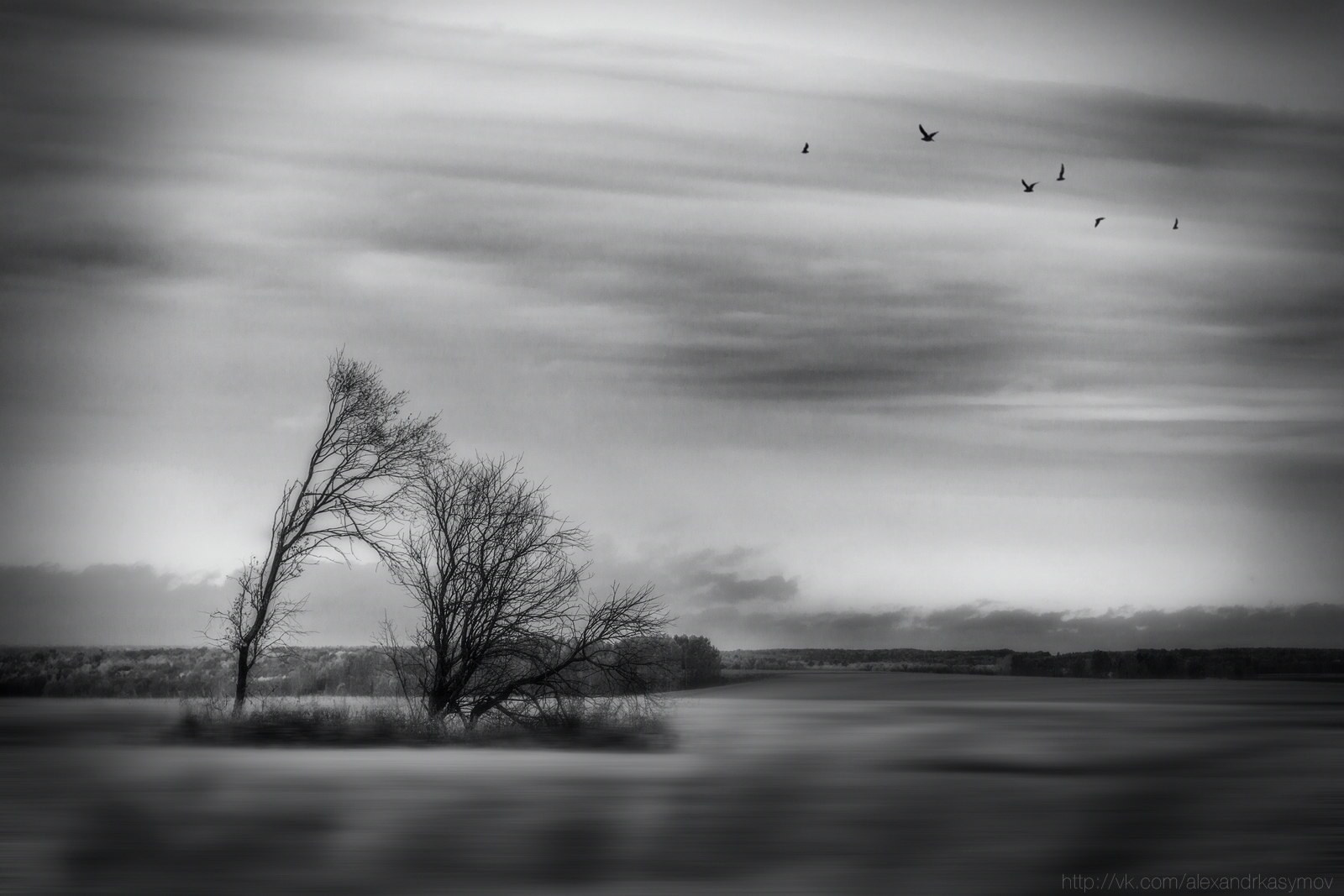 Ню Фотограф Александр Касымов Москва, фотосессии, Химки фотограф