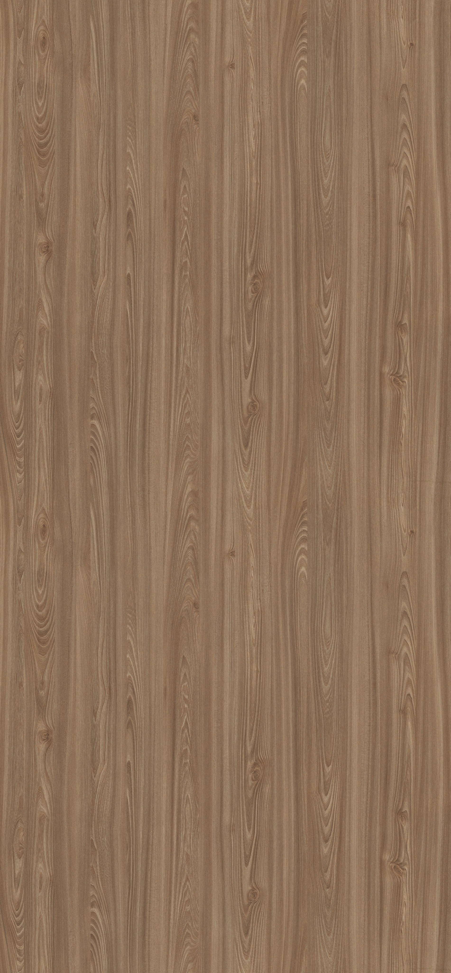 EGGER. Главная