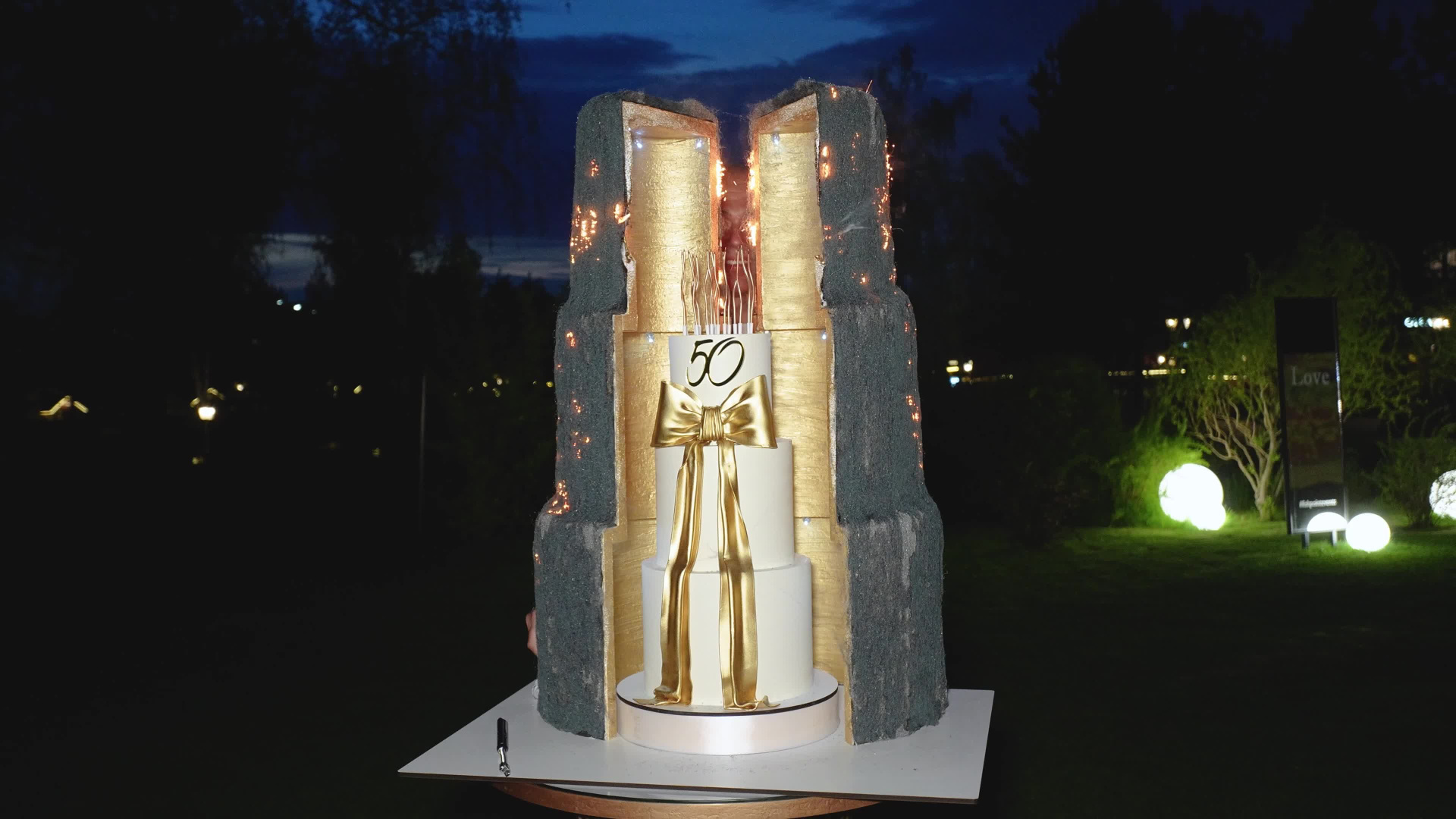 События. Видеограф Каменецкий Константин