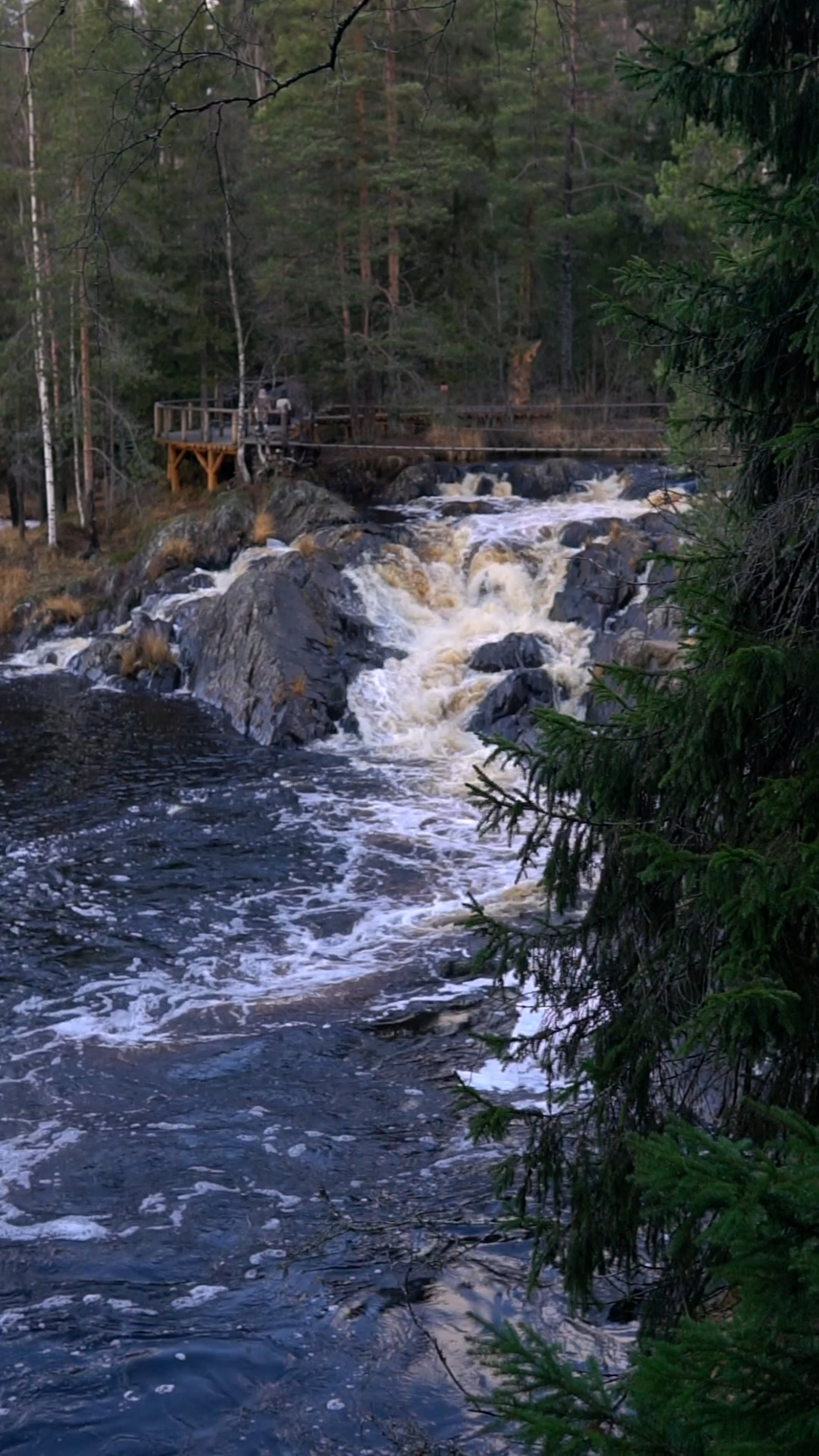 Видеопортфолио. Медиа-портфолио Марии Абрашиной