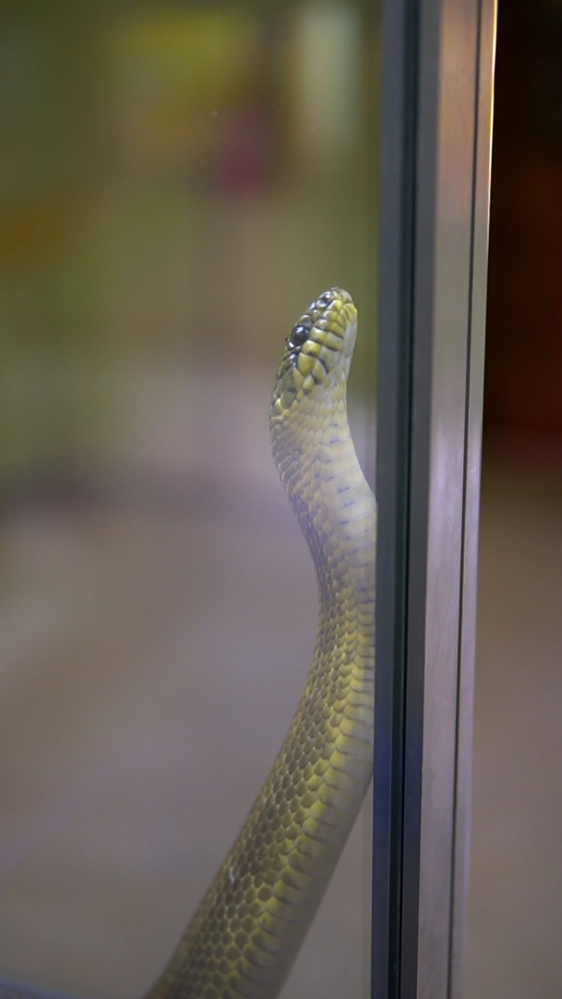 Видеопортфолио. Медиа-портфолио Марии Абрашиной