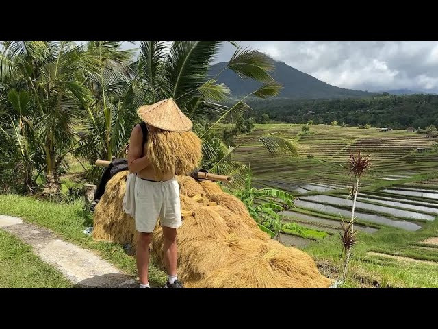 Видеопортфолио. Медиа-портфолио Марии Абрашиной