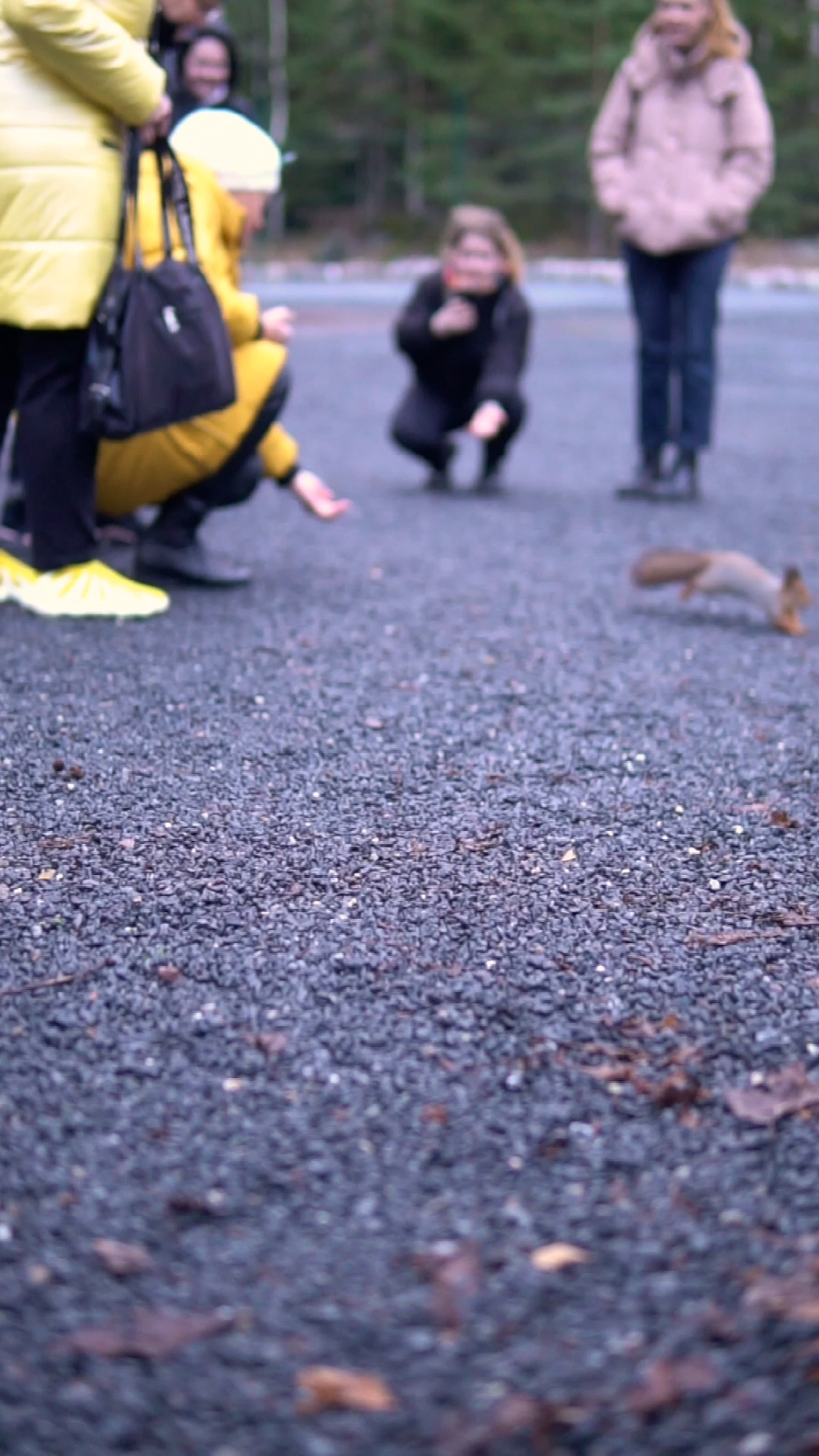 Видеопортфолио. Медиа-портфолио Марии Абрашиной