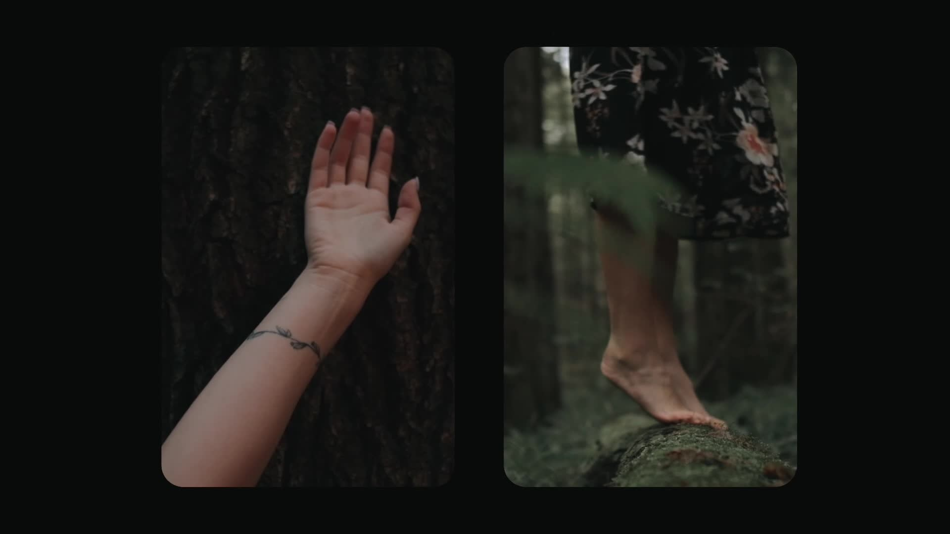 Видеограф Настя Шутова