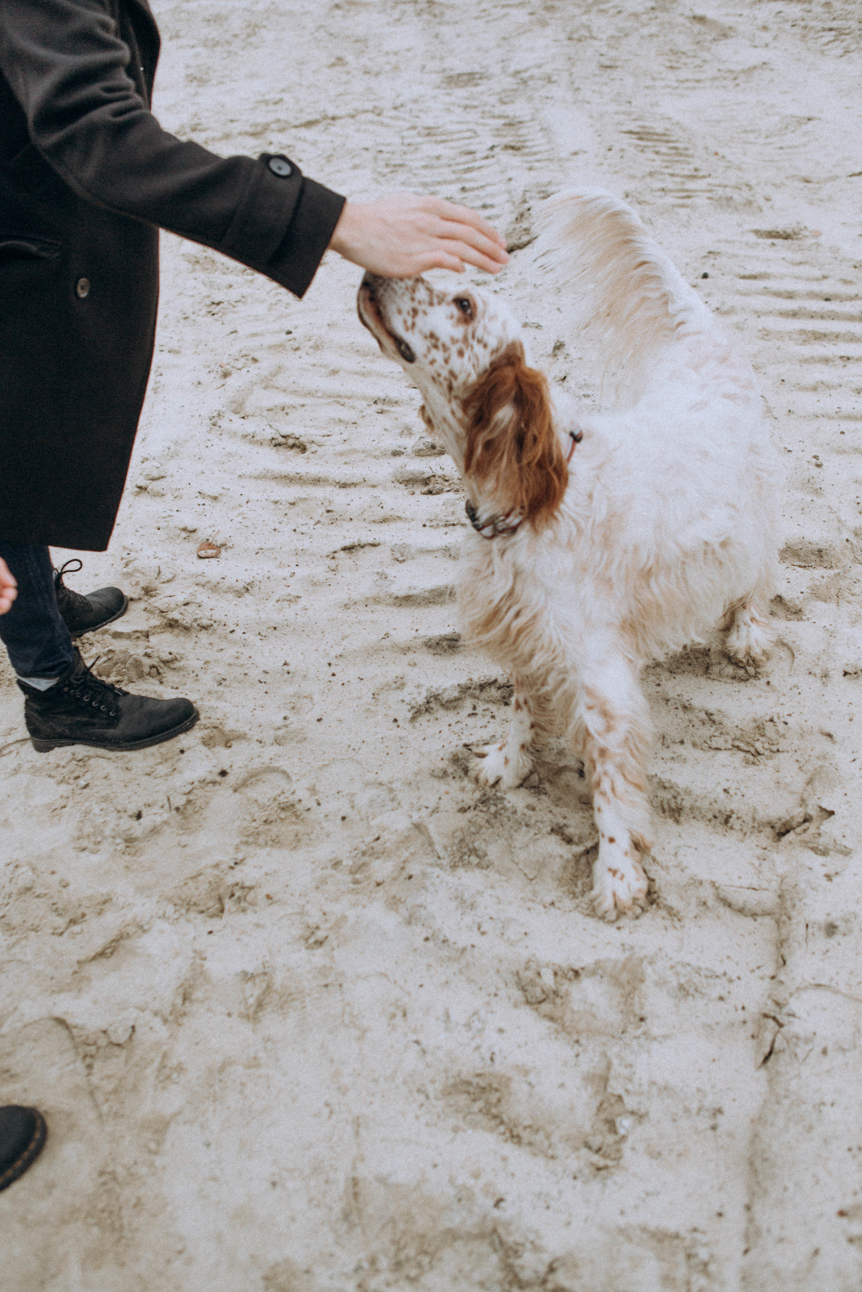 V&D. Пушистая Сова - Свадебный и портретный фотограф Воронеж, Москва, Питер