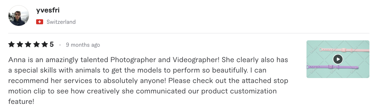 Commercial photography. Фотограф-анималист Аверьянова Анна — Художественная фотосъёмка собак