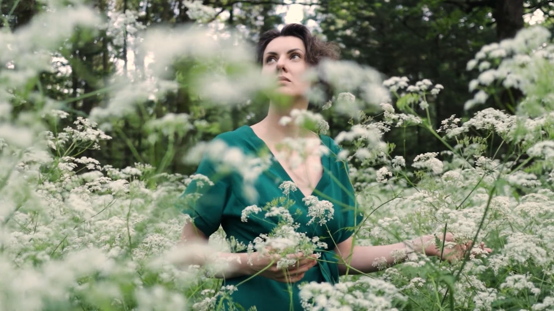 Видеограф Андрей Стрепетов