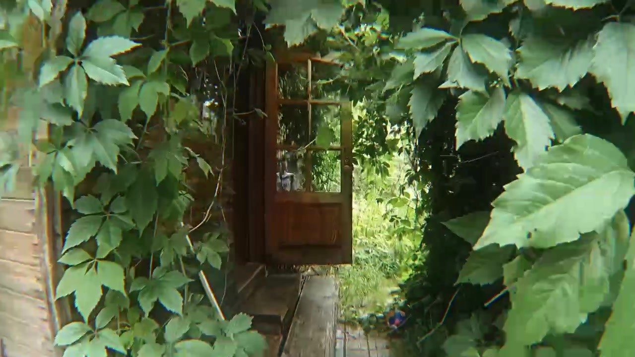 Репортаж. Видеооператор и фотограф Таисия Любимова