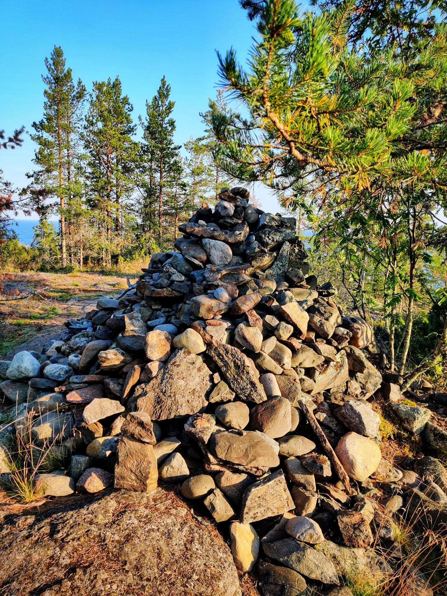 Пирамида из камней в сосновом лесу на фоне ясного неба