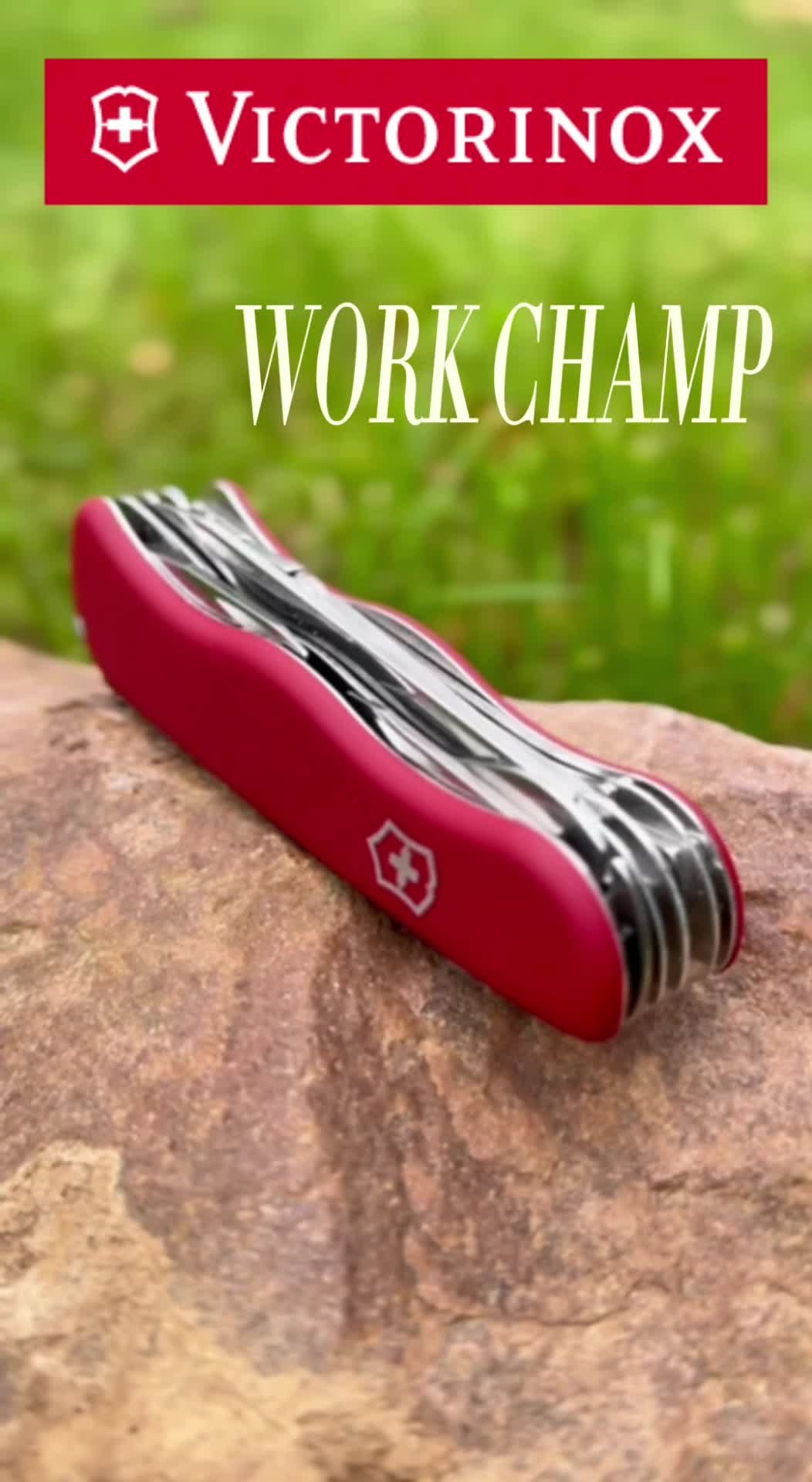 Портфолио «Две совы». Две совы