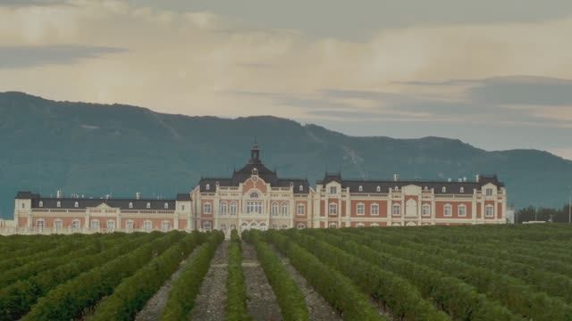 Свадьбы. Свадебный фотограф и видеограф Когай Дмитрий и Юлия