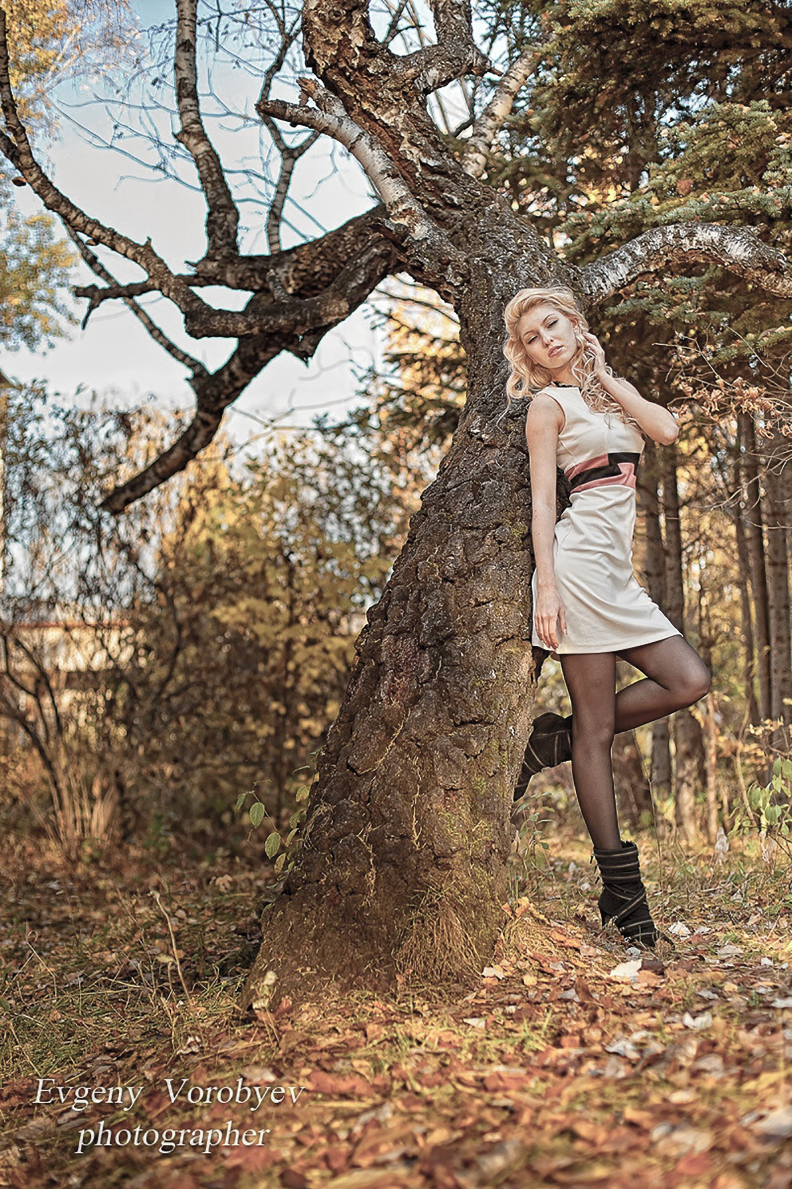 красивая женская  в осеннем лесу  фотосессия Красноярск фото девушки фотограф для сайта знакомств и соцсетей заказать цена стоимость примеры идеи места позы фотосессии социальной сети  ИИ нейросеть промт визажист причёска макияж парк Сады мечты Татышев деловой бизнес имиджевый корпоративный портрет фото для резюме блога контент стилист подбор образа одежда аксессуары студия интерьерная уличная съемка портфолио отзывы час съемки