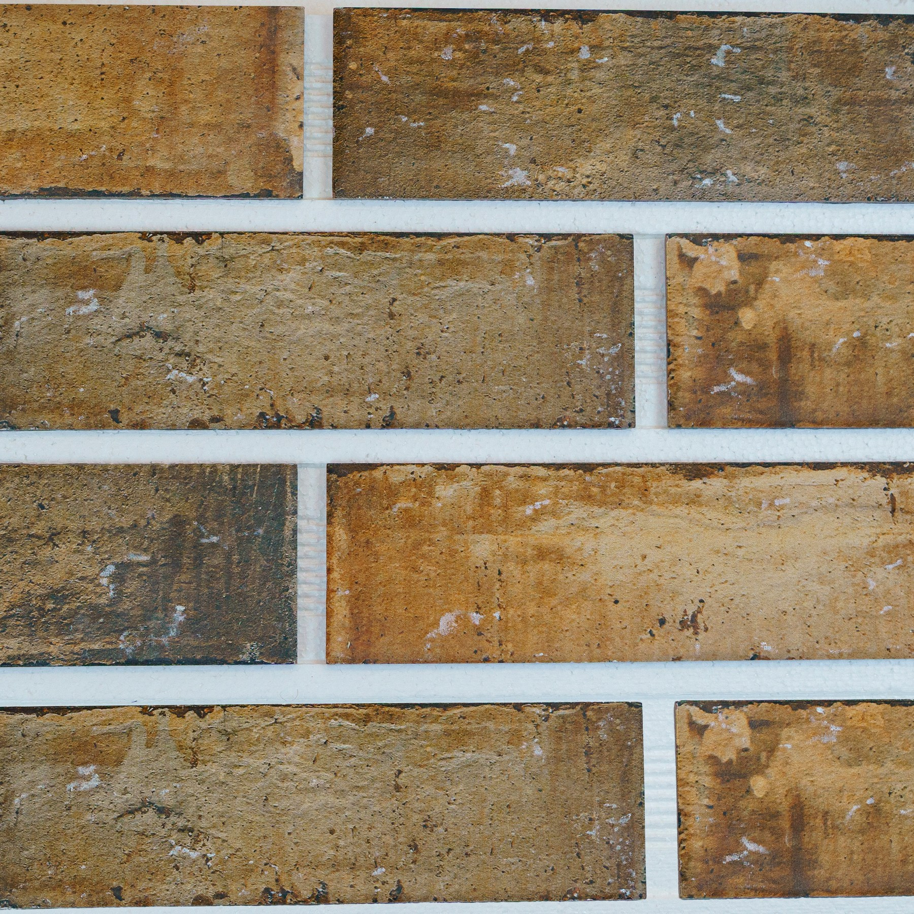 Предметная и фудсъёмка в Москве. Фото для маркетплейсов. Фотограф Петр Анисимов