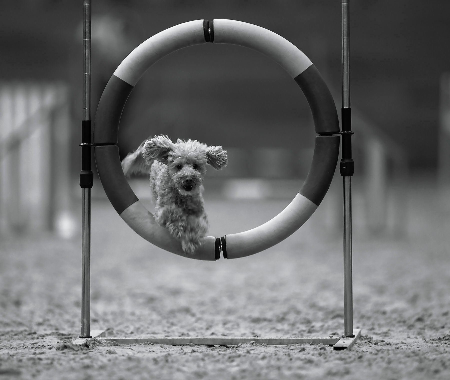 Детский и семейный фотограф в Москве Юлия Стукалова