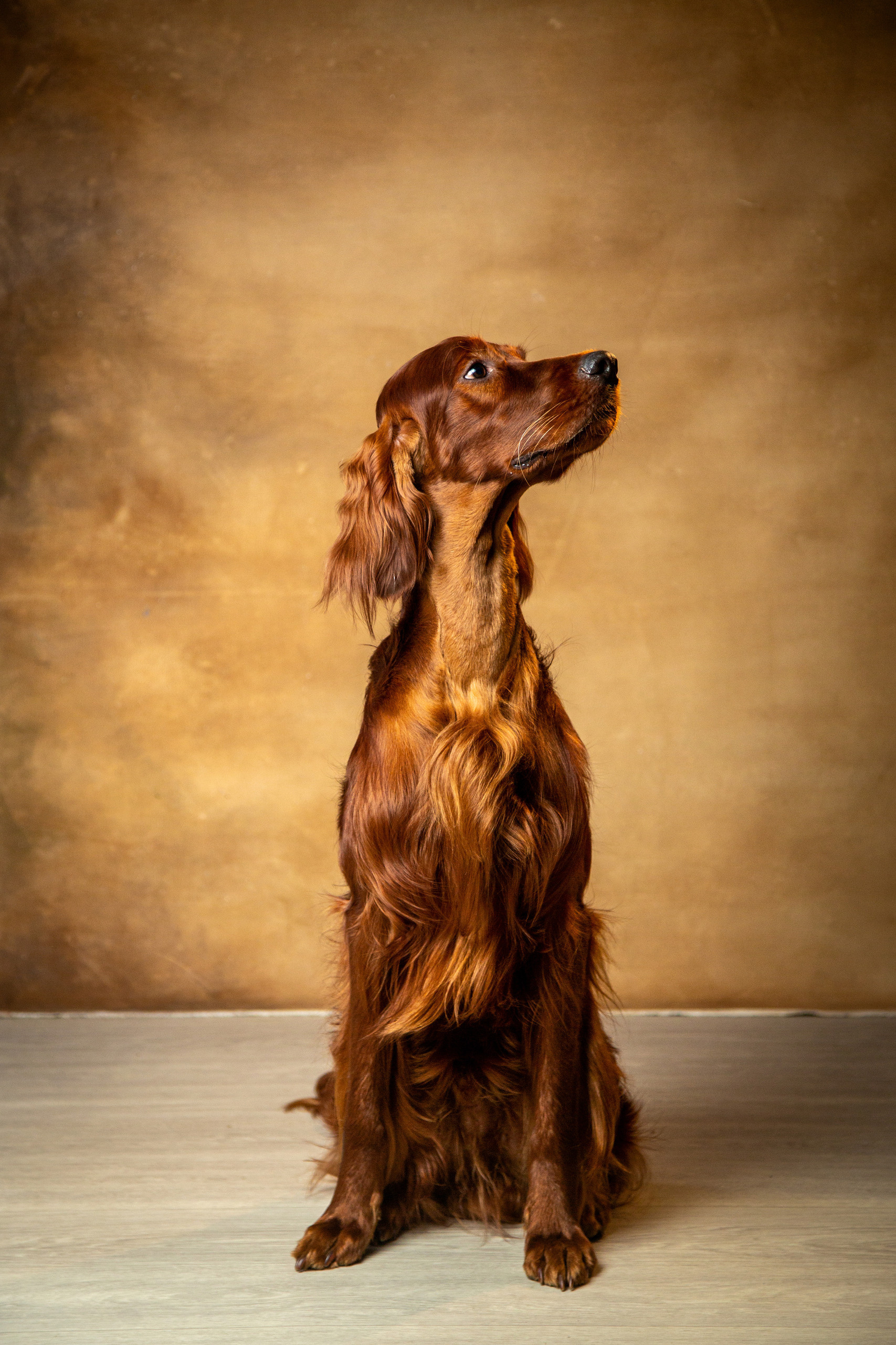 Отзывы Фотограф Великие Луки Анна Никонова. Детский семейный фотограф Великие Луки Анна Никонова