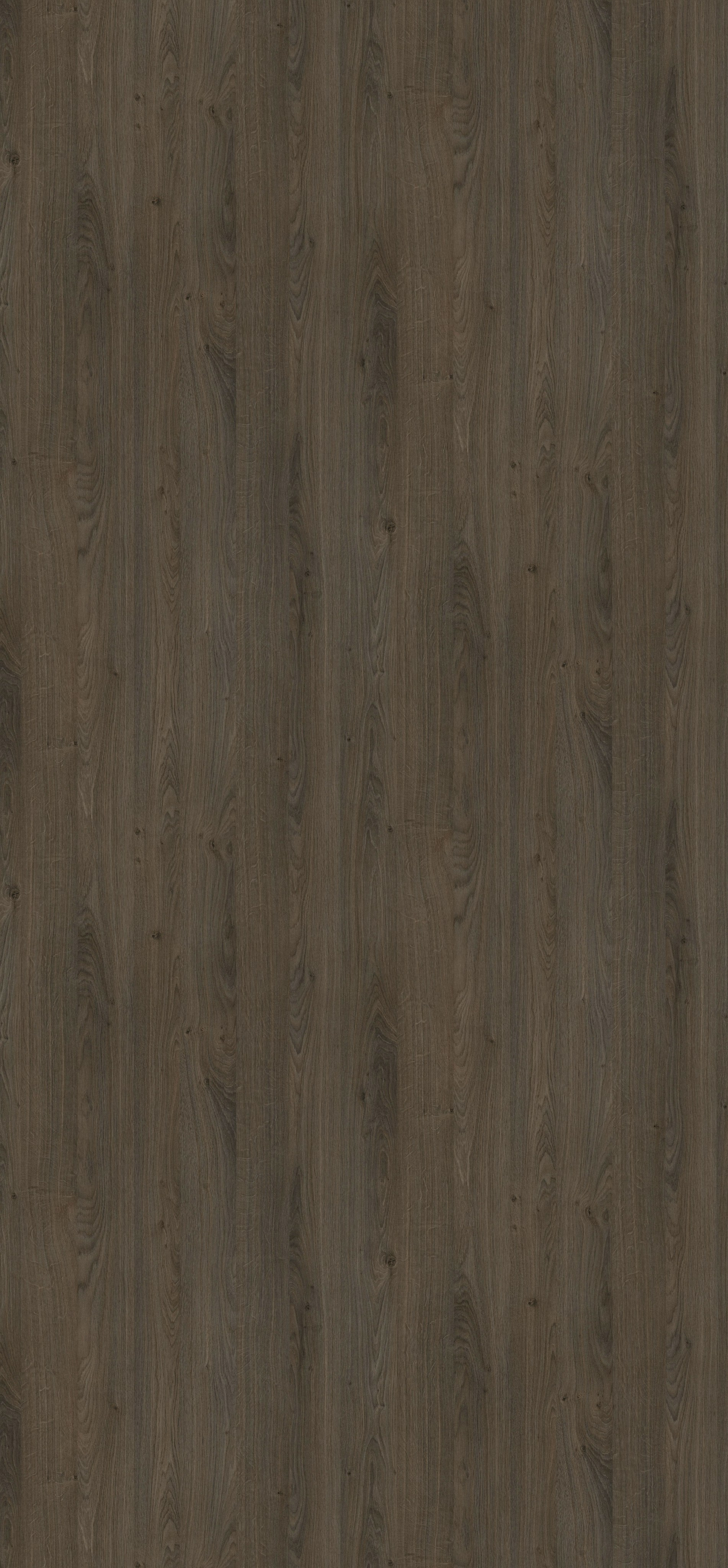 EGGER. Главная