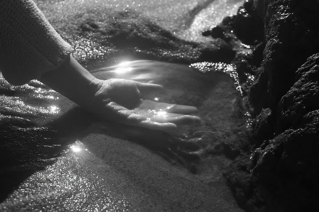 Видео. Фотограф, в Ростове-на-дону