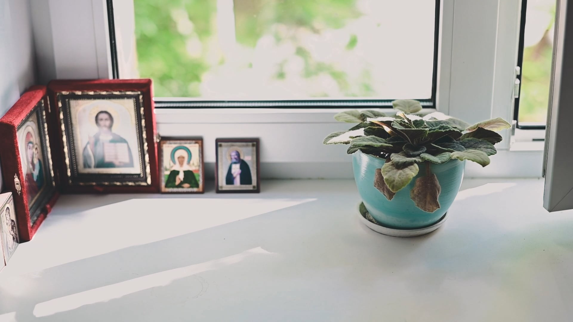 Семейная съёмка. Видеооператор и фотограф Таисия Любимова