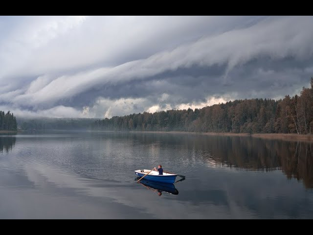 Мои Работы. Елена Шумилова