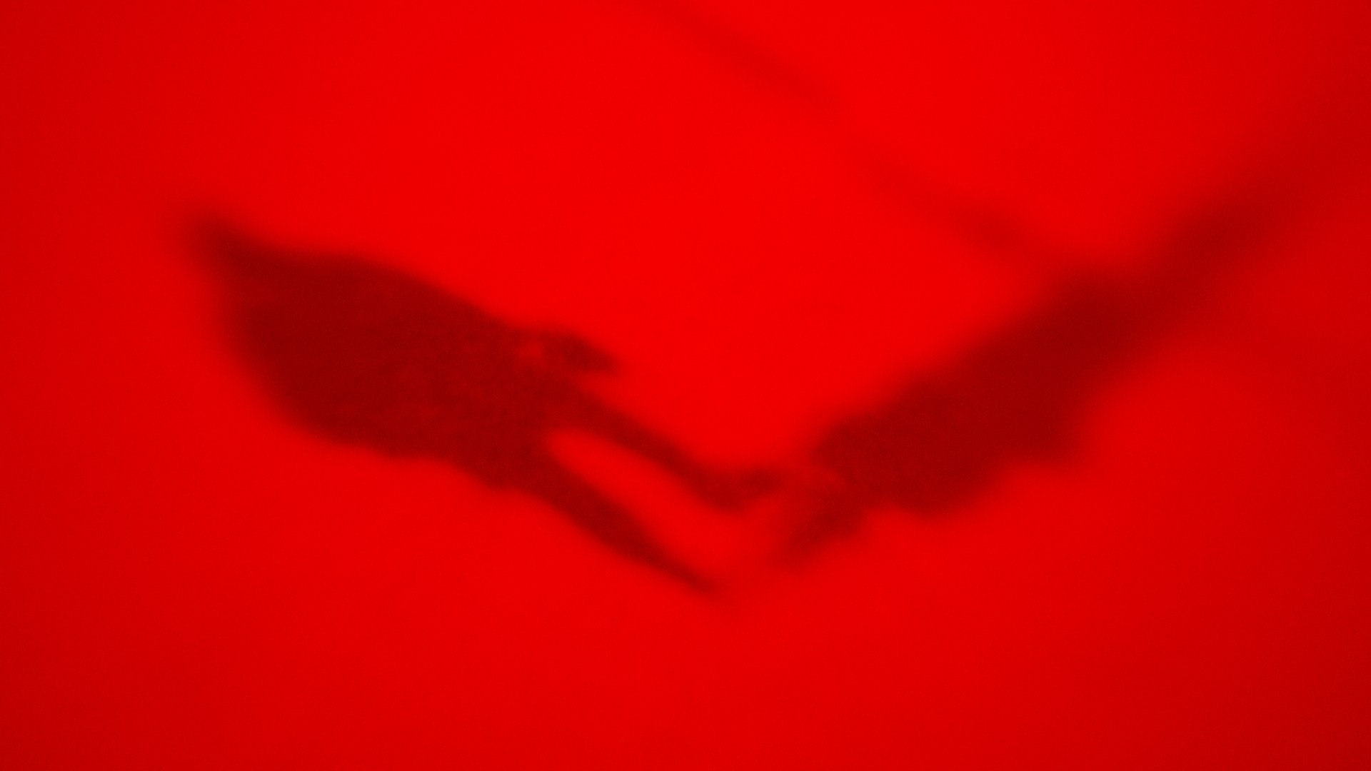 SHARDS (2026). ALEXEI RODIONOV