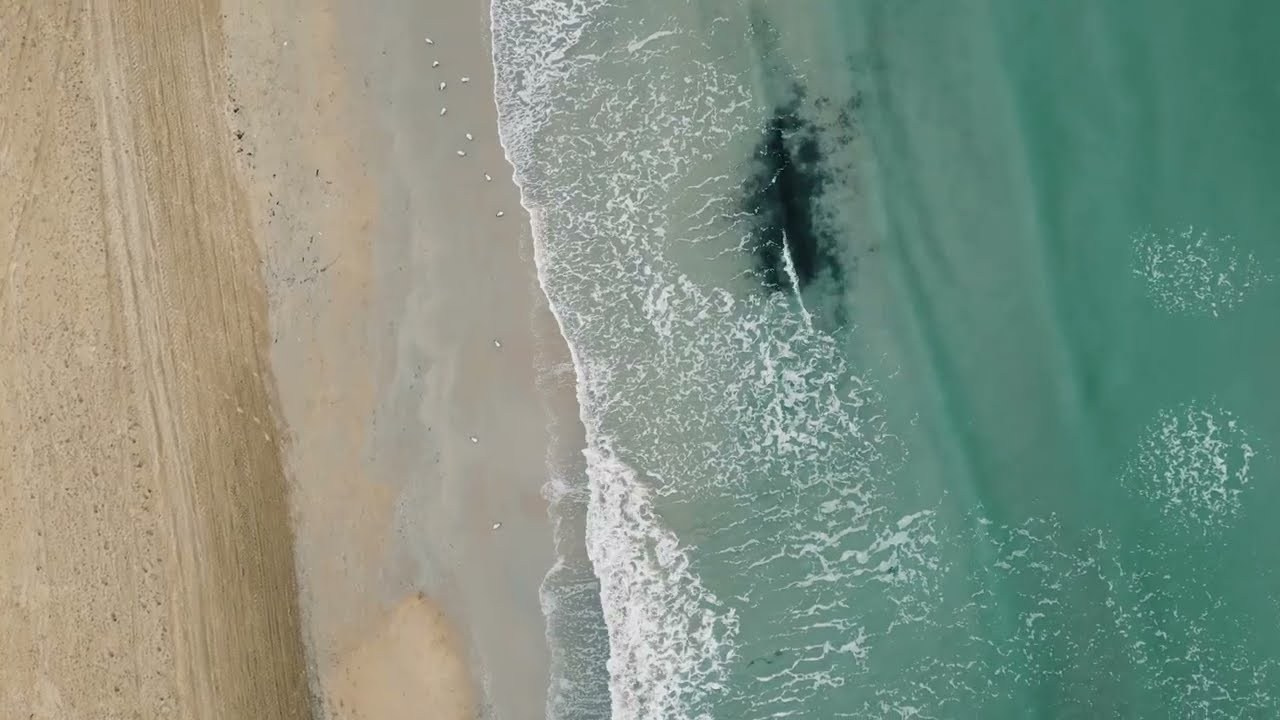 Film. Фотограф и видеограф Елена Хмелевская