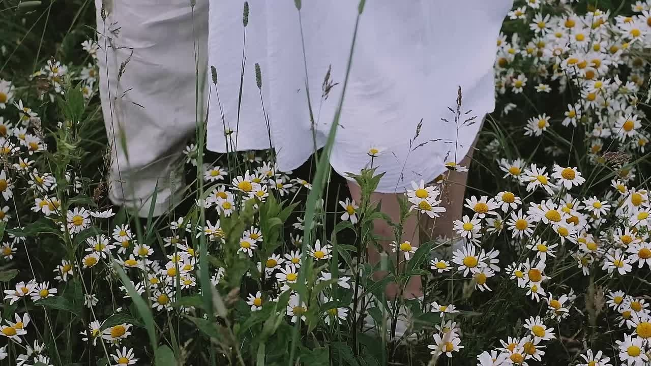 Видео. Фотограф и видеограф в Москве Полина Абраменкова