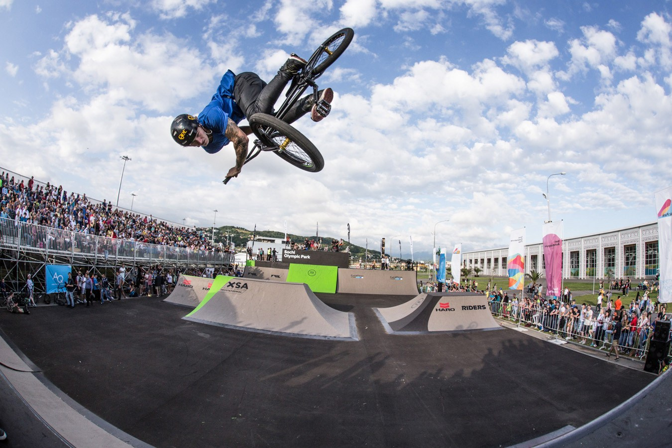 Random photo roulette. Bivol images