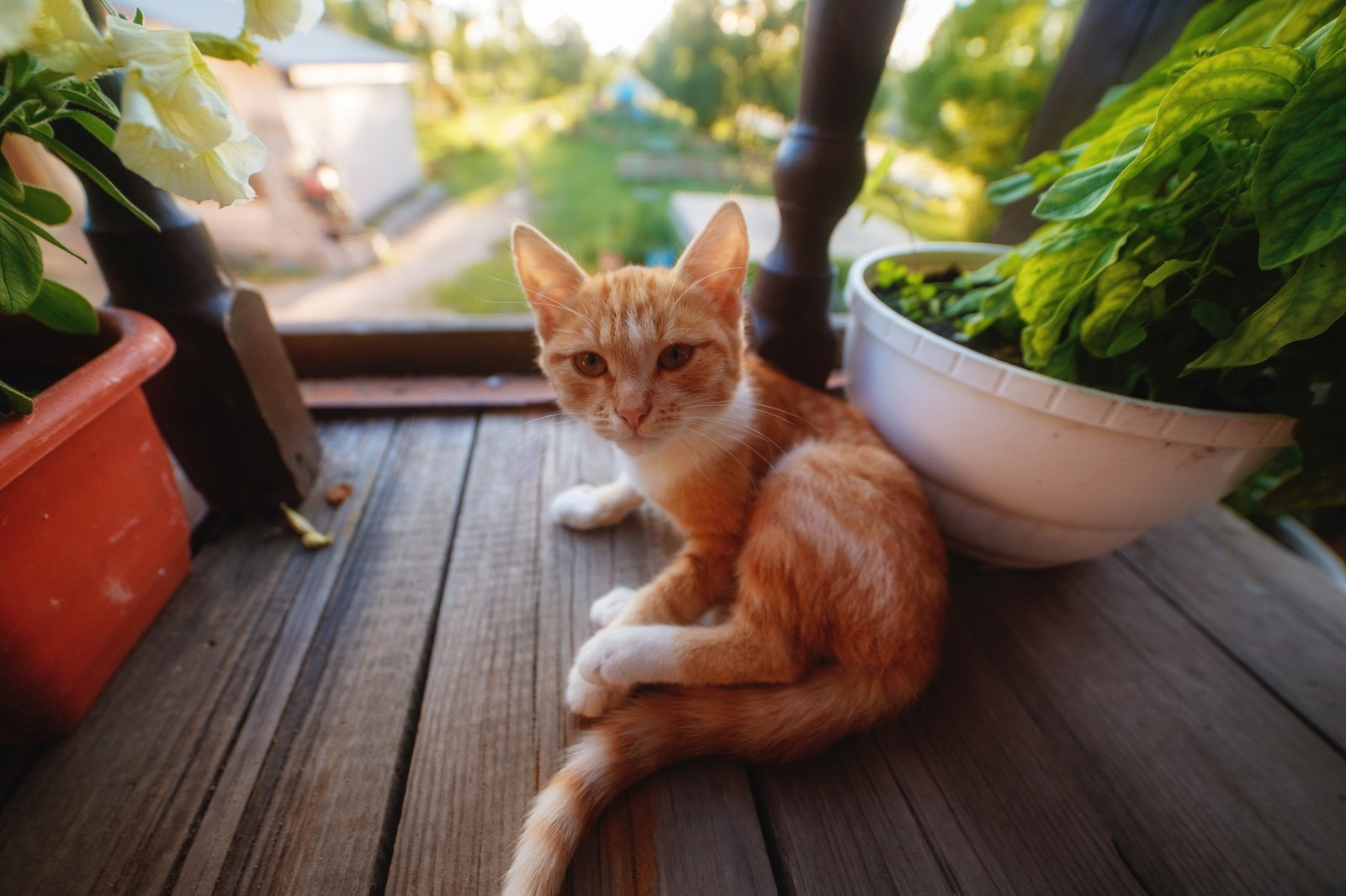 Музей Гадов