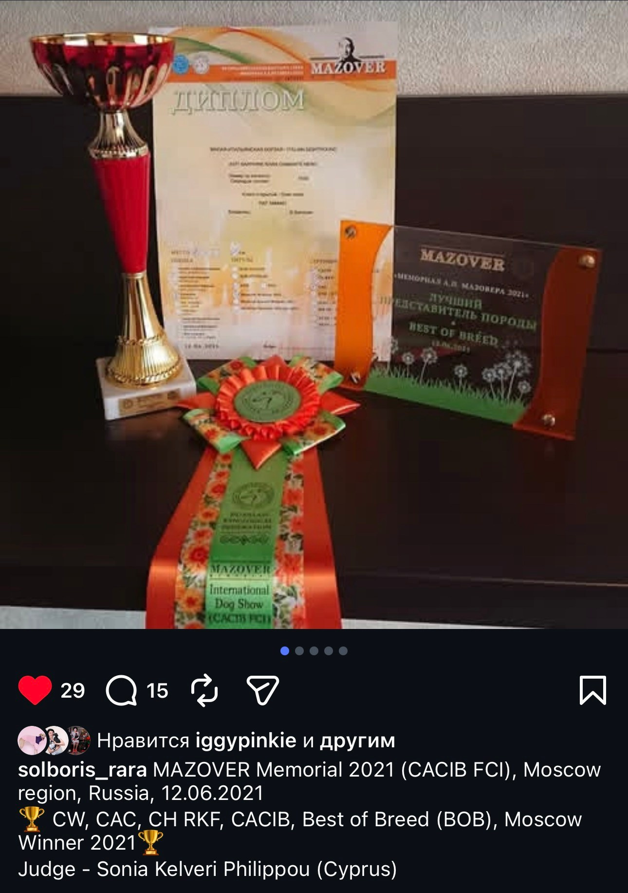 Черный бриллиант. Профессиональный питомник левреток РКФ/FCI ASTI SAPPHIRE 💎 Сочи|Санкт-Петербург